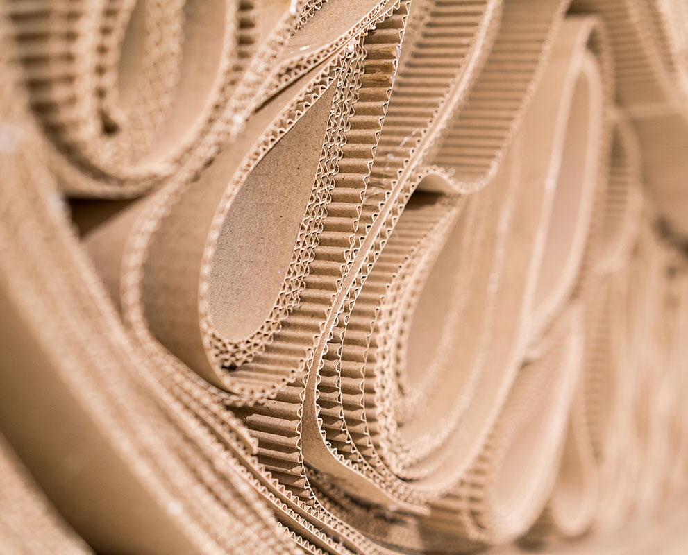 packaging-resistant-for-shipment-of-bottles
