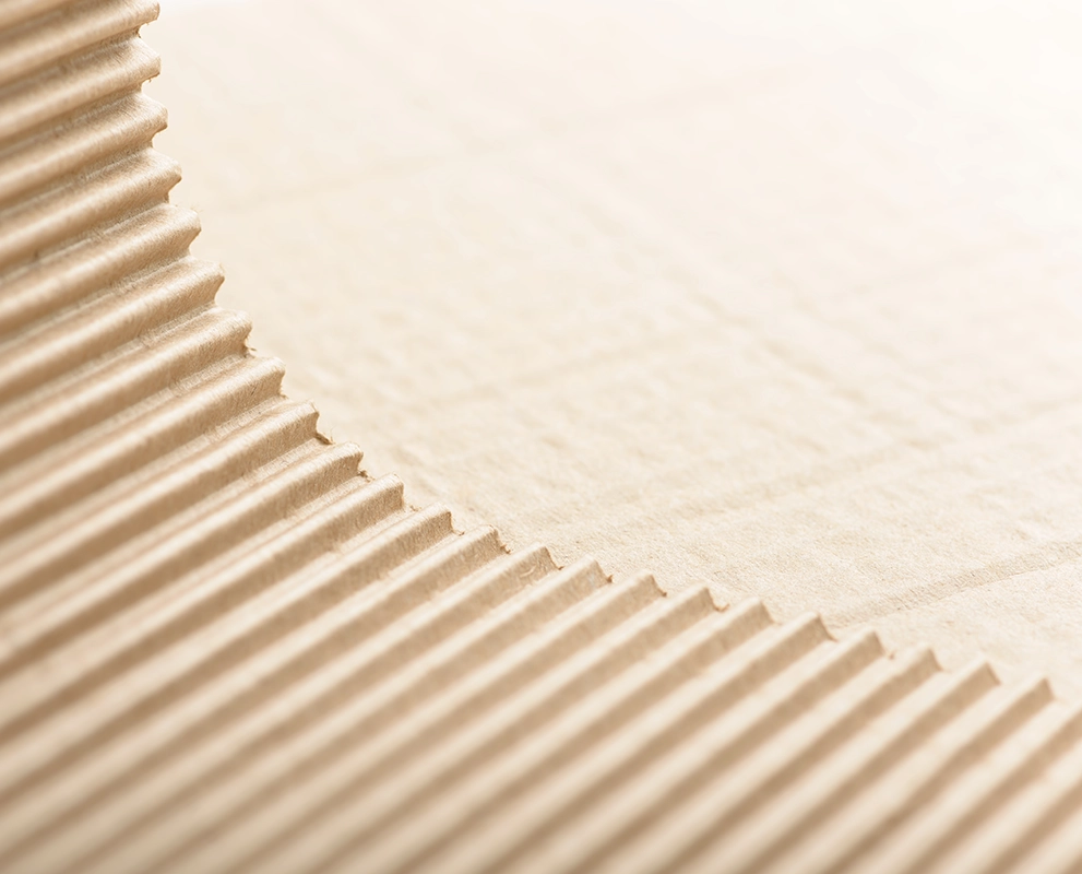 packaging in cartone ondulato per liquori