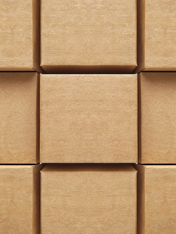 emballage en carton pour expéditions sécurisées