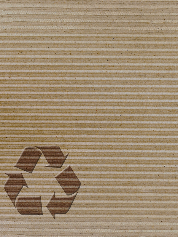 packaging durable en carton ondulé
